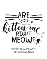 Are You Kitten Me Right Meow? Weekly Planner With Cat Coloring Pages: Schedule Your Week with Weekly To-Do Lists. Plan for Personal & Career Goa