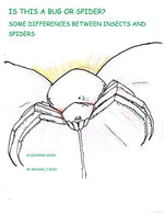 Is this a Bug or Spider?: Some Differences between Insects and Spiders :  A Coloring Book